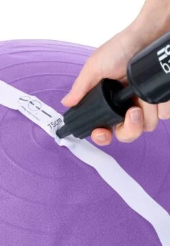 Gym Ball - 65Cm - Fitness/Yoga - Purple