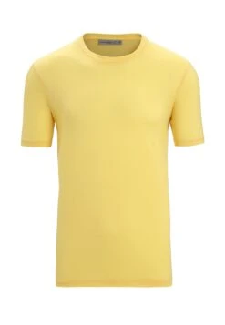 Icebreaker 100% Merino Tech Lite Ii Ss - Camiseta Básica - Summer