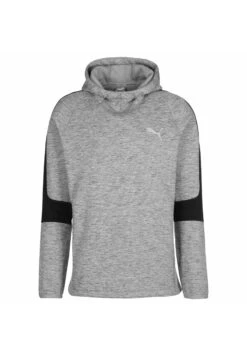 Puma Jersey Con Capucha - Medium Gray Heather