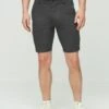 Next Stretch- Shorts - Grey